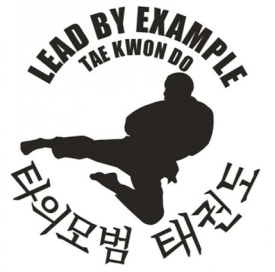 Lead By Example Tae Kwon Do Lead By Example Tae Kwon Do